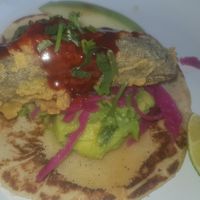 Korean Seitan Tacos at Mexico 70 in Sunderland