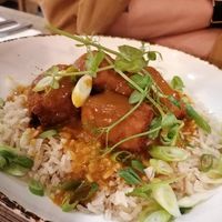 Tofu katsu curry at Horse and Jockey in Alfreton