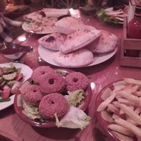  at Tree Trunk in Cairo