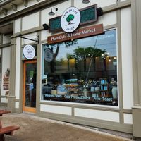  at Tree of Life Juice in Saugatuck