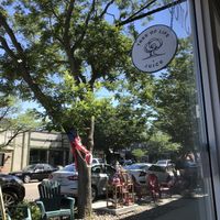 Tree of Life at Tree of Life Juice in Saugatuck