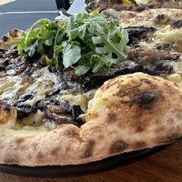   at Mizzoni in Hamilton