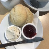 Plain scone at The Market Place in St Ives