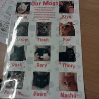  at Mog on the Tyne in Newcastle Upon Tyne