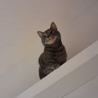  at Mog on the Tyne in Newcastle Upon Tyne