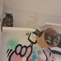  at Mog on the Tyne in Newcastle Upon Tyne