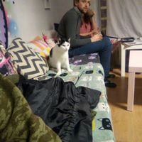 This little fella is Wobbles! X x at Mog on the Tyne in Newcastle Upon Tyne