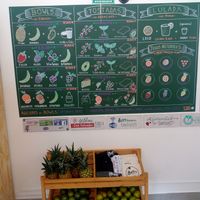 City oasis at Betty's Bowls in Medellin