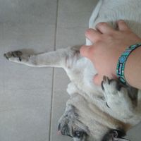 Emilia at Betty's Bowls in Medellin