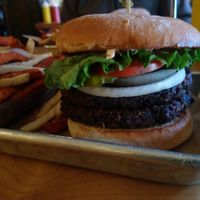 Vegan black bean burger - double patty at Grassburger in Durango