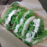 Tahini Tacos at Lady and the Shallot in Ewing