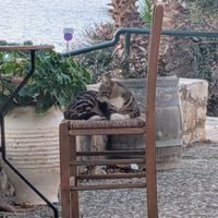 A guest on the terrace at Pulse in Crete