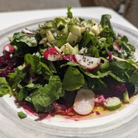 Beetroot carpaccio at Pulse in Crete