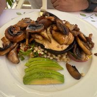 Mushroom medley on pearl barley  at Pulse in Crete