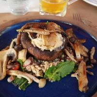 Their mushroom dish with vegan cheese sauce at Pulse in Crete