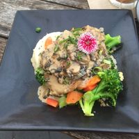 Scallopini at Doko Demo V in West Burleigh