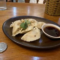 Delicious dumplings. at Doko Demo V in West Burleigh