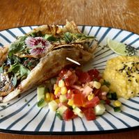 Taiwanese Crepe  at Doko Demo V in West Burleigh