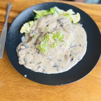 Scallopini   at Doko Demo V in West Burleigh