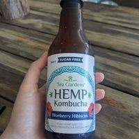 Hemp Kombucha at Doko Demo V in West Burleigh