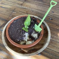   at Doko Demo V in West Burleigh