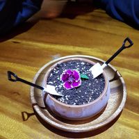 Potplant icecream dessert at Doko Demo V in West Burleigh