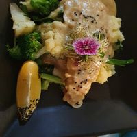 Grilled Fish at Doko Demo V in West Burleigh