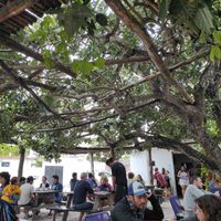 The place outside at Enamora in Bacalar