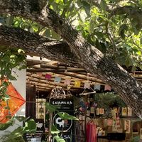   at Enamora in Bacalar