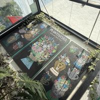   at Plantivora in Leon