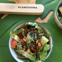 Ensalada que viene con el wrap  at Plantivora in Leon