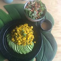 Yummy at Plantivora in Leon