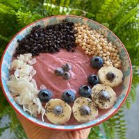 Kiwi Pink Bowl at Plantivora in Leon