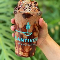 Choco Rocks at Plantivora in Leon