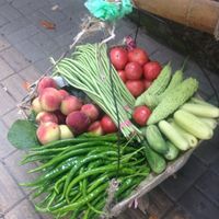Examples of Fruits and Vegetables at Guanshui Road Vegetable Sellers in Guiyang