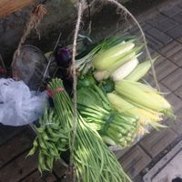 Example of vegetables. at Guanshui Road Vegetable Sellers in Guiyang