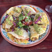 Vegan quesadillas at The Fat Cactus - Gardens in Cape Town