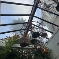 Inside  at Palm House in San Francisco