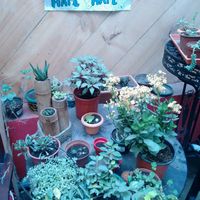 Jardín   at Capra in San Jose