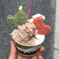 Yummy at Riccio d'Oro in Kobe