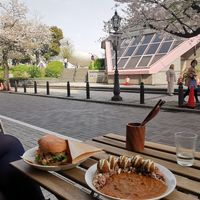 The view was perfect for Sakura season at Marugoto Vegan Dining Asakusa in Tokyo