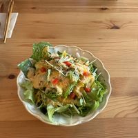   at Marugoto Vegan Dining Asakusa in Tokyo