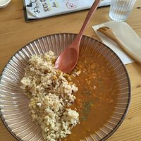The small portion of the curry. at Marugoto Vegan Dining Asakusa in Tokyo