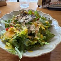  at Marugoto Vegan Dining Asakusa in Tokyo
