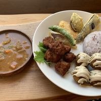 4 pc set: curry, soy, falafel, tempura  at Marugoto Vegan Dining Asakusa in Tokyo