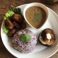 My combination plate ; fried soy meat, curry, japanese shiitake mushroom “steak” and rice 🍚🤤 at Marugoto Vegan Dining Asakusa in Tokyo