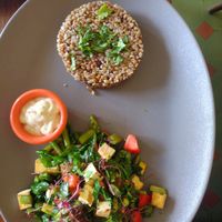 ComboTombo at Cafe Botanika in St Petersburg