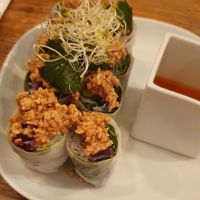 Spring rolls at Kapunka Vegan in Paris