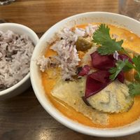 This was the curry, comes with rice  at Kapunka Vegan in Paris