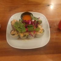 Spring rolls at Kapunka Vegan in Paris